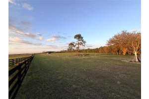 12451 20TH STREET, WILLISTON, FL 32696 - MLS#MFROM722076