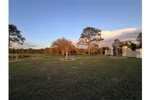 12451 20TH STREET, WILLISTON, FL 32696 - MLS#MFROM722076