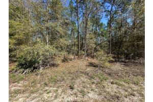 TBD 29TH STREET, OCALA, FL 34473 - MLS#MFROM722079