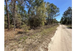 TBD 29TH STREET, OCALA, FL 34473 - MLS#MFROM722079