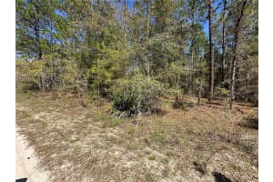 TBD 29TH STREET, OCALA, FL 34473 - MLS#MFROM722079