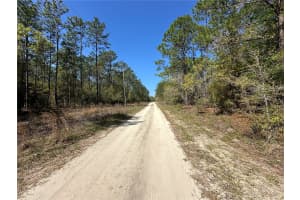 TBD 29TH STREET, OCALA, FL 34473 - MLS#MFROM722079