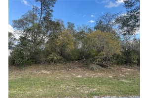 TBD MARION OAKS GOLF RD., OCALA, FL 34473 - MLS#MFROM722108