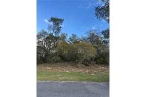 TBD MARION OAKS GOLF RD., OCALA, FL 34473 - MLS#MFROM722108