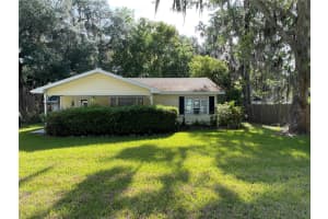 12385 130TH AVENUE, OCKLAWAHA, FL 32179 - MLS#MFROM722135