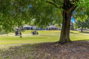 13131 91ST COURT ROAD, SUMMERFIELD, FL 34491 - MLS#MFROM722202