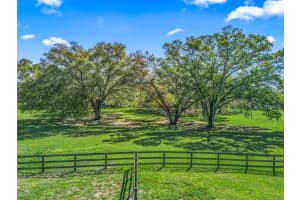TBD CARRY BACK ROAD, OCALA, FL 34482 - MLS#MFROM722219