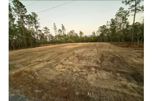LOT 14 129TH COURT, DUNNELLON, FL 34431 - MLS#MFROM722224