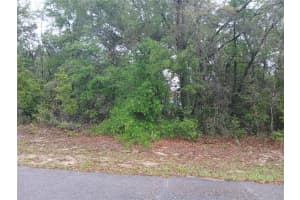 7851 VINCE DRIVE, CITRUS SPRINGS, FL 34434 - MLS#MFROM722250
