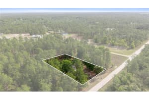 13131 73RD STREET, OCALA, FL 34481 - MLS#MFROM722261