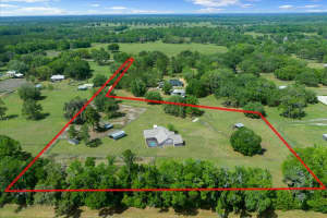 13456 W HIGHWAY 318, WILLISTON, FL 32696 - MLS#MFROM722269