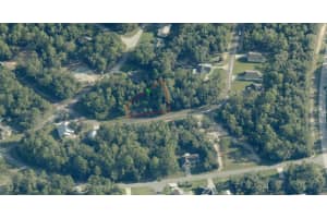 9173 JUSTA DRIVE, CITRUS SPRINGS, FL 34433 - MLS#MFROM722299
