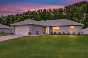 1454 160TH PLACE, CITRA, FL 32113 - MLS#MFROM722303