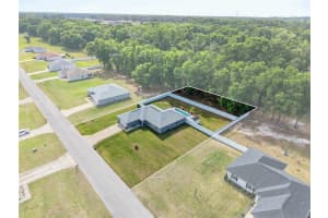 1454 160TH PLACE, CITRA, FL 32113 - MLS#MFROM722303