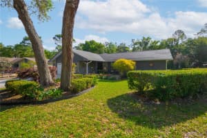 20 SYCAMORE COURT, HOMOSASSA, FL 34446 - MLS#MFROM722309