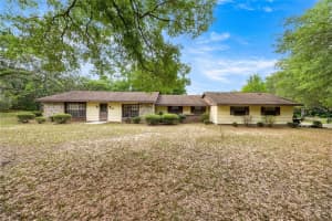 12878 78TH TERRACE, BELLEVIEW, FL 34420 - MLS#MFROM722361