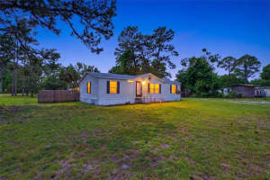 11720 19TH STREET, SILVER SPRINGS, FL 34488 - MLS#MFROM722364