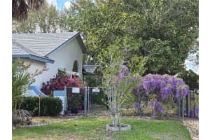 311 OAK LANE PASS, OCALA, FL 34472 - MLS#MFROM722377