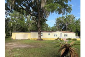 14490 80TH AVENUE, SUMMERFIELD, FL 34491 - MLS#MFROM722380