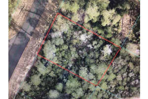 0 169 PLACE, OCALA, FL 34473 - MLS#MFROM722393