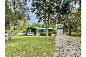 8575 305TH AVENUE, SALT SPRINGS, FL 32134 - MLS#MFROM722399
