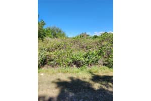 16415 210TH TERRACE, HAWTHORNE, FL 32640 - MLS#MFROM722419