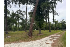 6800 175TH ST. ROAD, CITRA, FL 32113 - MLS#MFROM722444