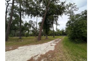 6800 175TH ST. ROAD, CITRA, FL 32113 - MLS#MFROM722444