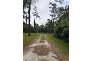 6800 175TH ST. ROAD, CITRA, FL 32113 - MLS#MFROM722444