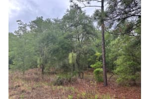 0000 19TH PLACE, OCALA, FL 34481 - MLS#MFROM722505