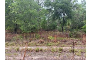 0000 19TH PLACE, OCALA, FL 34481 - MLS#MFROM722505