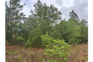0000 19TH PLACE, OCALA, FL 34481 - MLS#MFROM722505