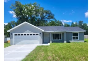 28 MAPLE COURSE, OCKLAWAHA, FL 32179 - MLS#MFROM722514