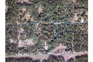0 158 LANE, DUNNELLON, FL 34432 - MLS#MFROM722532