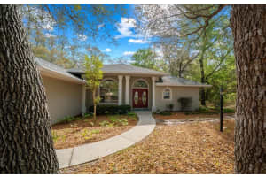 8859 AMBOY DRIVE, CITRUS SPRINGS, FL 34433 - MLS#MFROM722552