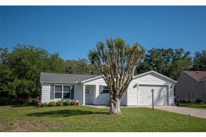 16852 96TH CHAPELWOOD CIRCLE, THE VILLAGES, FL 32162 - MLS#MFROM722566