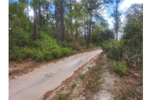7446 151ST PLACE, DUNNELLON, FL 34432 - MLS#MFROM722570