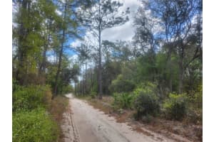7446 151ST PLACE, DUNNELLON, FL 34432 - MLS#MFROM722570
