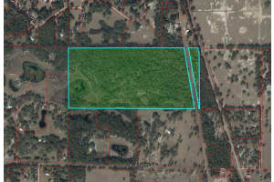 2650 SE HIGHWAY 41, MORRISTON, FL 32668 - MLS#MFROM722593