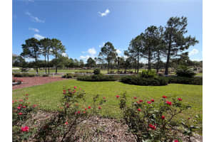 8380 82ND CIRCLE, OCALA, FL 34481 - MLS#MFROM722610
