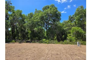 36 LOCUST RUN RADIAL, OCALA, FL 34472 - MLS#MFROM722615