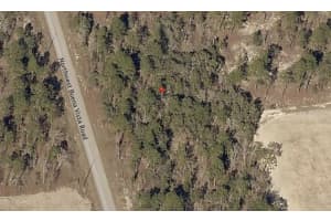 TBD BUENA VISTA ROAD, DUNNELLON, FL 34431 - MLS#MFROM722705