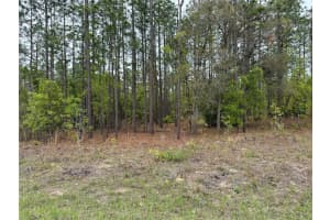 SW 125TH COURT RD, DUNNELLON, FL 34432 Sold 05/06/26