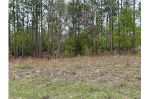 SW 125TH COURT RD, DUNNELLON, FL 34432 Sold 05/06/26