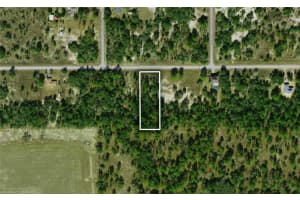 TBD TIGER LAKE BOULEVARD, DUNNELLON, FL 34431 - MLS#MFROM722724
