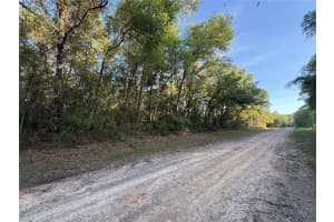 762 ELGROVE DRIVE, DUNNELLON, FL 34434 - MLS#MFROM722800
