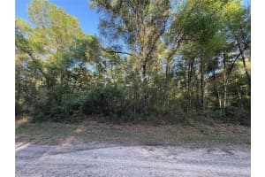 780 ELGROVE DRIVE, DUNNELLON, FL 34434 - MLS#MFROM722806