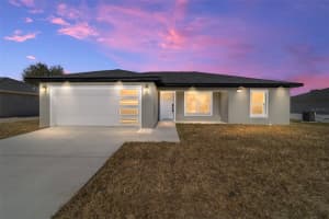 13863 101 STREET, DUNNELLON, FL 34432 - MLS#MFROM722857