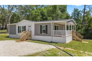 17360 65TH STREET, OCKLAWAHA, FL 32179 - MLS#MFROM722979