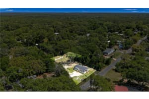 17360 65TH STREET, OCKLAWAHA, FL 32179 - MLS#MFROM722979